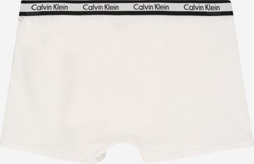 mėlyna Calvin Klein Underwear Apatinės kelnaitės