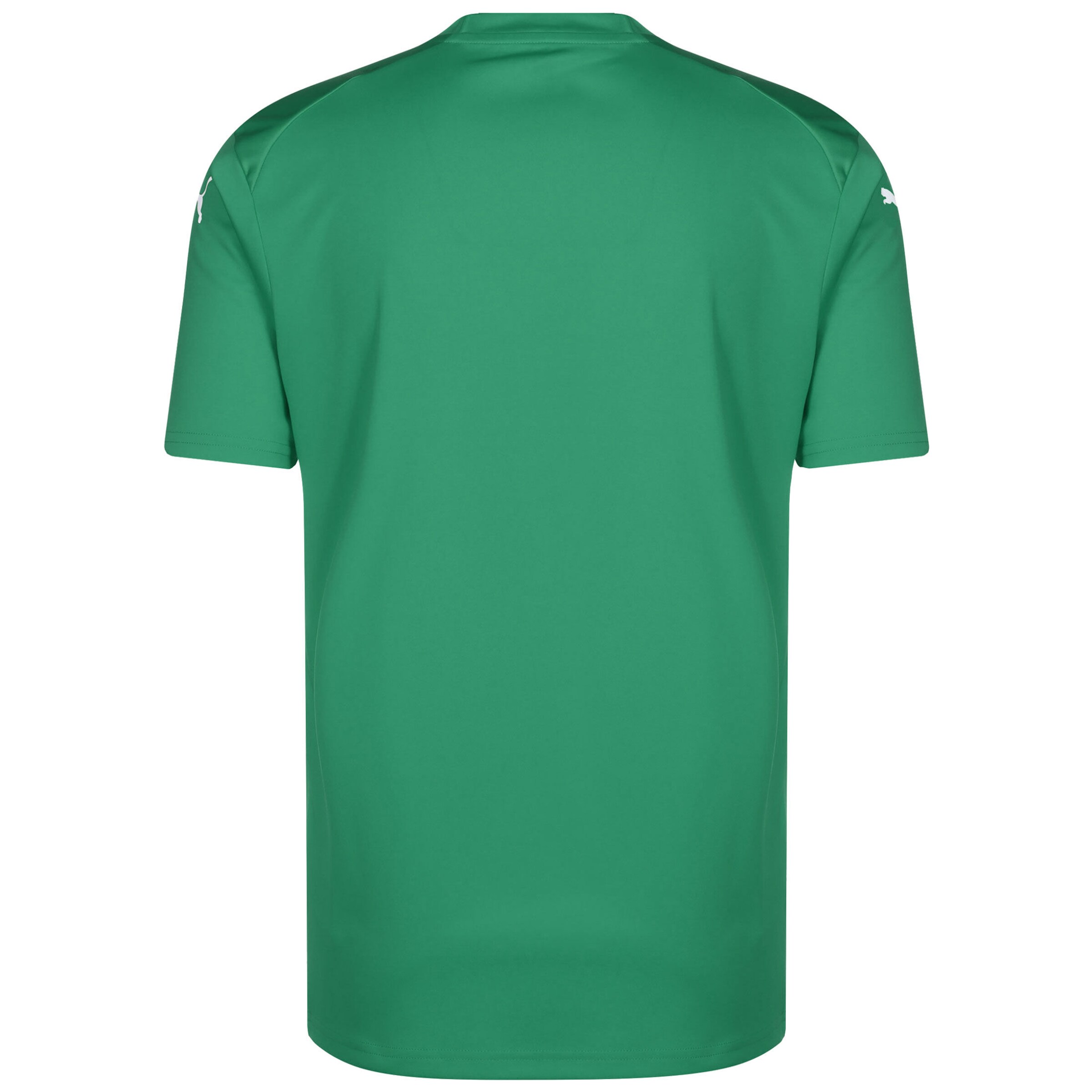 PUMA Trikot 'TeamGlory' in Grün