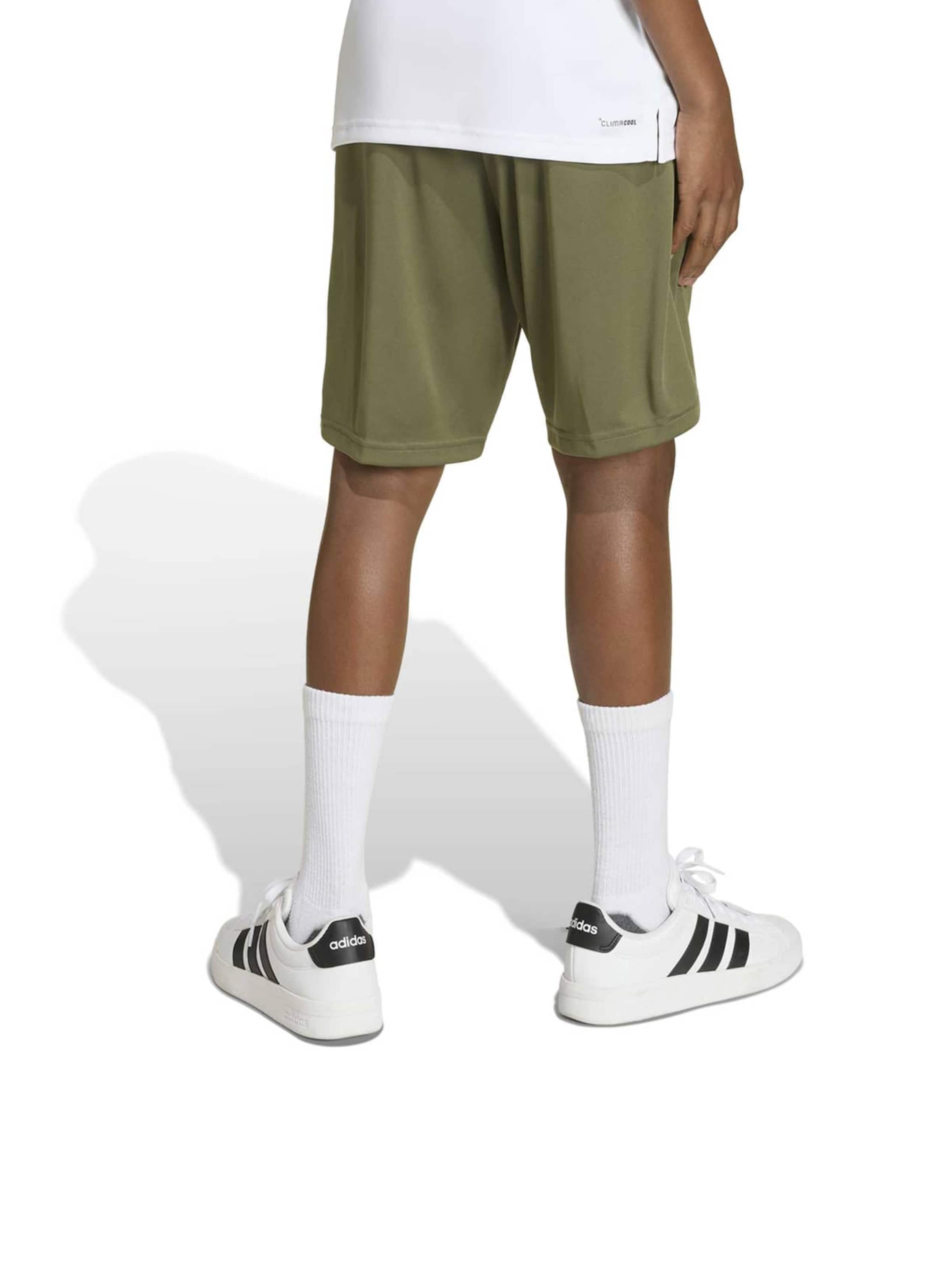 Regular Pantalon de sport 'TR-ES' ADIDAS SPORTSWEAR en vert