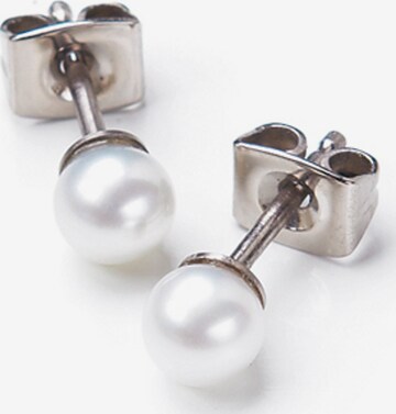 Boccia Titanium Earrings in Silver: front