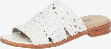 SIOUX Mules ' Cosinda-703 ' in White: front