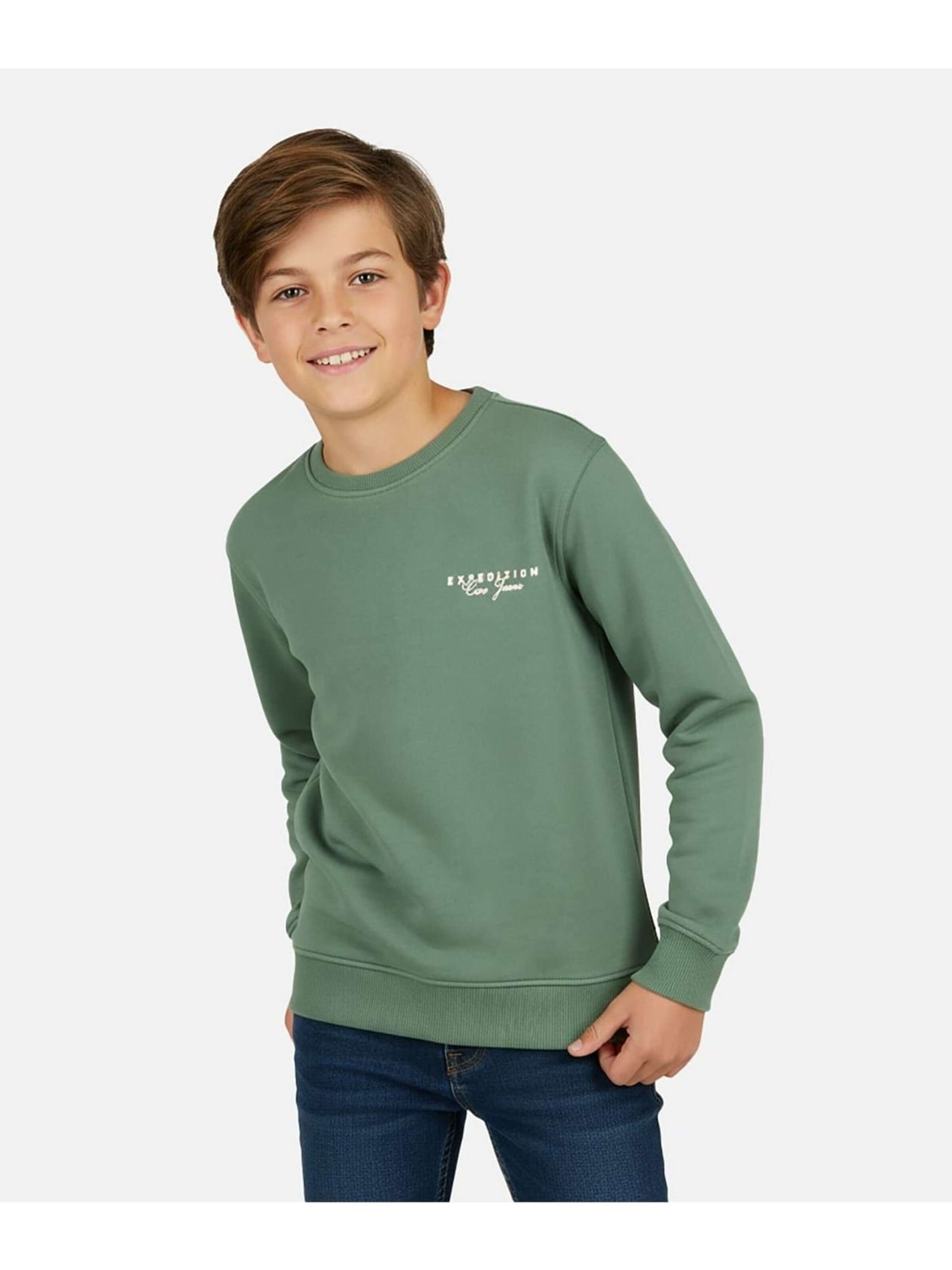 CARS Sweatshirt in Green