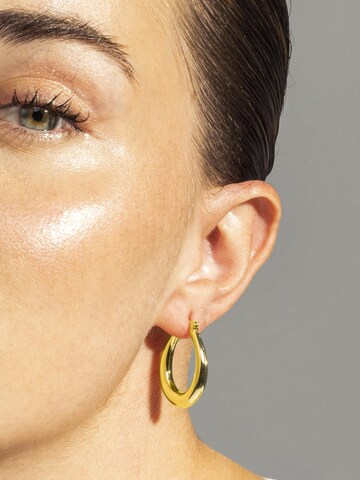 Luxenter Oorbellen 'Oumy' in Goud