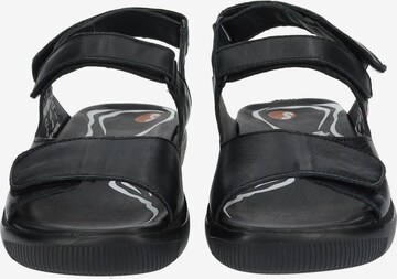 Softinos Strap Sandals in Black