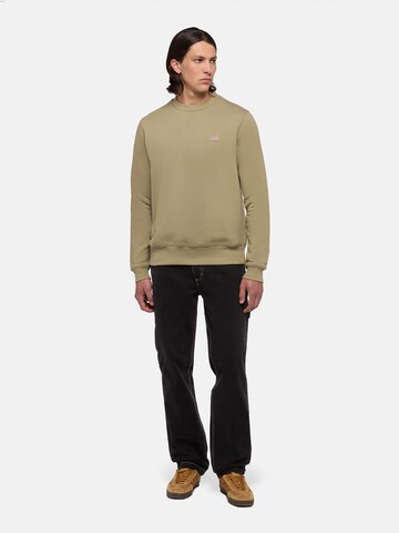 balta DICKIES Megztinis be užsegimo 'OAKPORT'