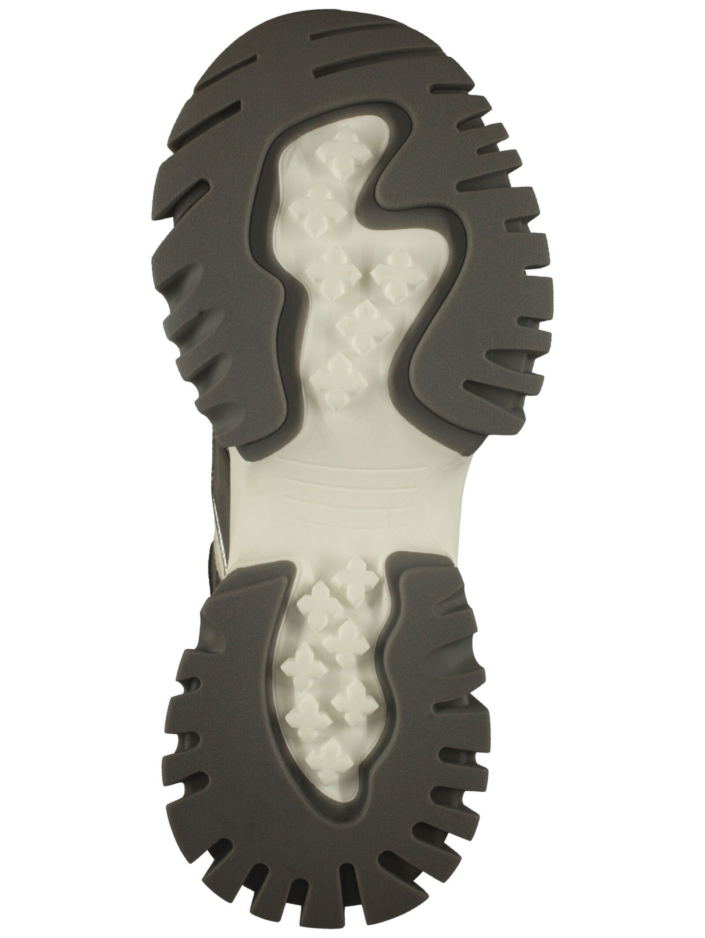 Baskets basses STEVE MADDEN en gris