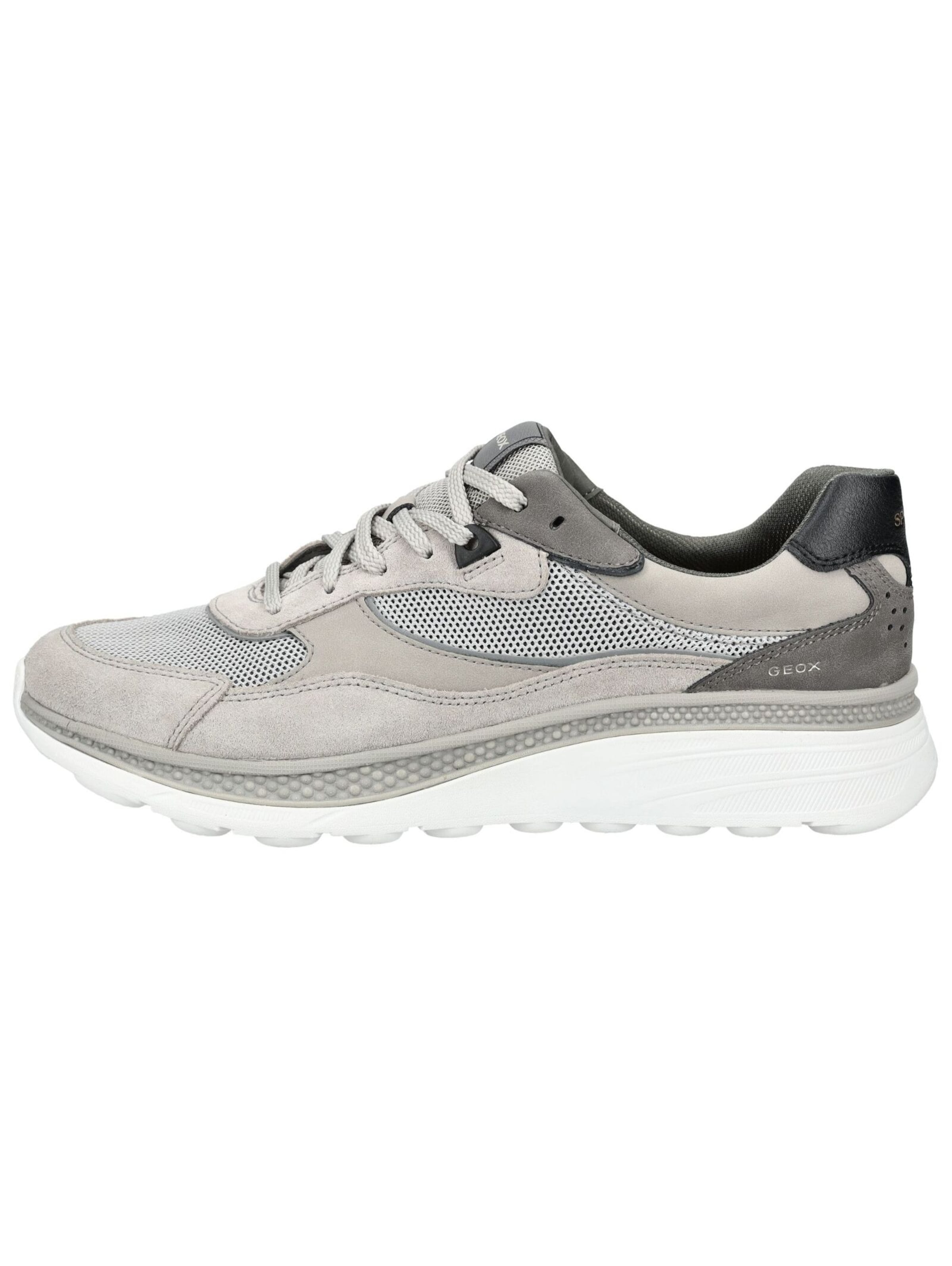 Sneaker bassa di GEOX in grigio