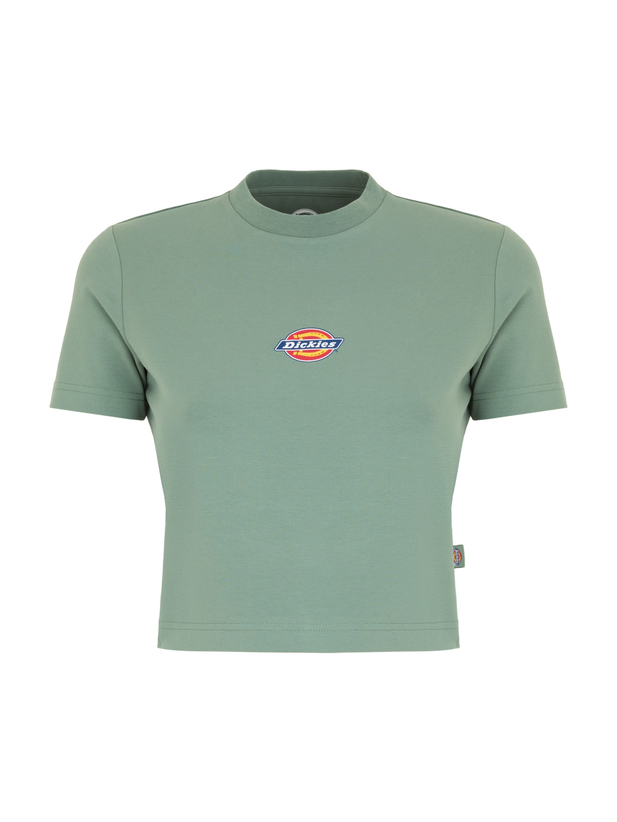 DICKIES Tričko 'Maple Valley' – zelená: přední strana