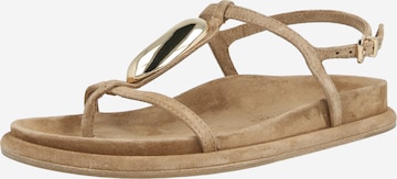 Kennel & Schmenger Босоножки 'AILY' в Коричневый: спереди