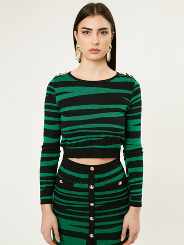 Influencer Пуловер 'Animalier' в зелено: отпред