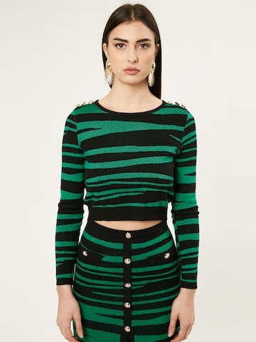 Influencer Sweater 'Animalier' in Green: front