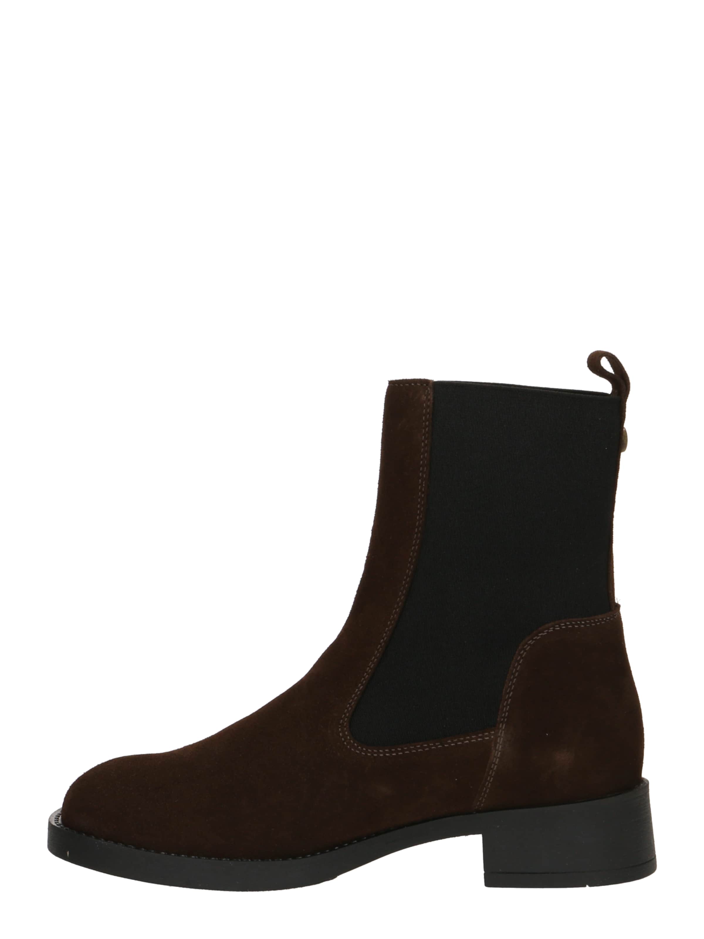 STEVE MADDEN Μπότες chelsea 'Zaida' σε καφέ: πλευρά