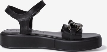 MARCO TOZZI Sandals in Black