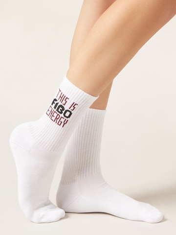 CALZEDONIA Socks in White: front
