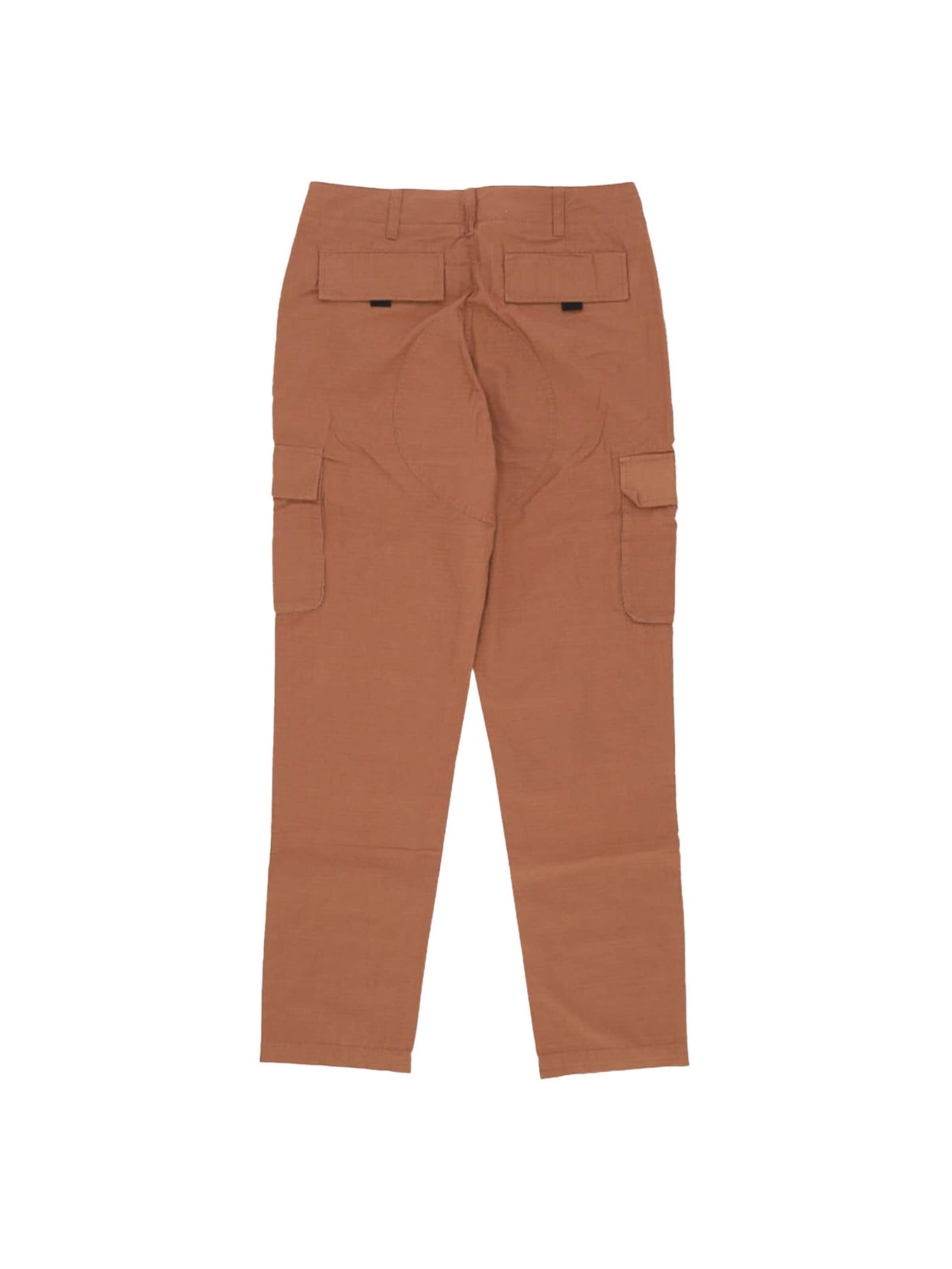 Baggy Pantaloni 'TACTICS PANT TERRACOTTA' di Santa Cruz in marrone