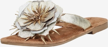 Zoccoletto di LAZAMANI in oro: frontale