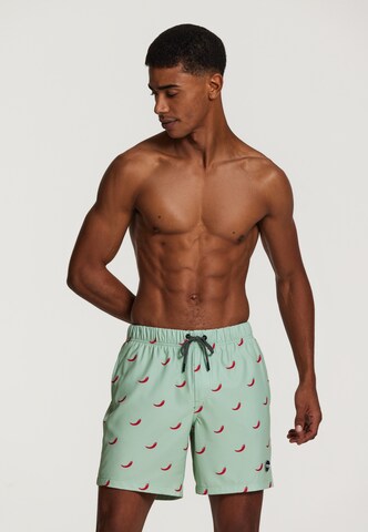 Shiwi Swimming shorts 'chili pepper 4-way stretch' in Green