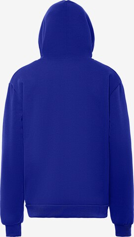 ALEKO Sweatshirt in Blau