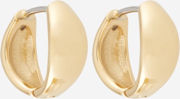 FOSSILNaušnice 'ELLIS' - zlatna boja: prednji dio
