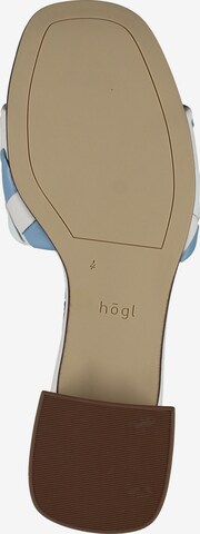Högl Mules in Mixed colors