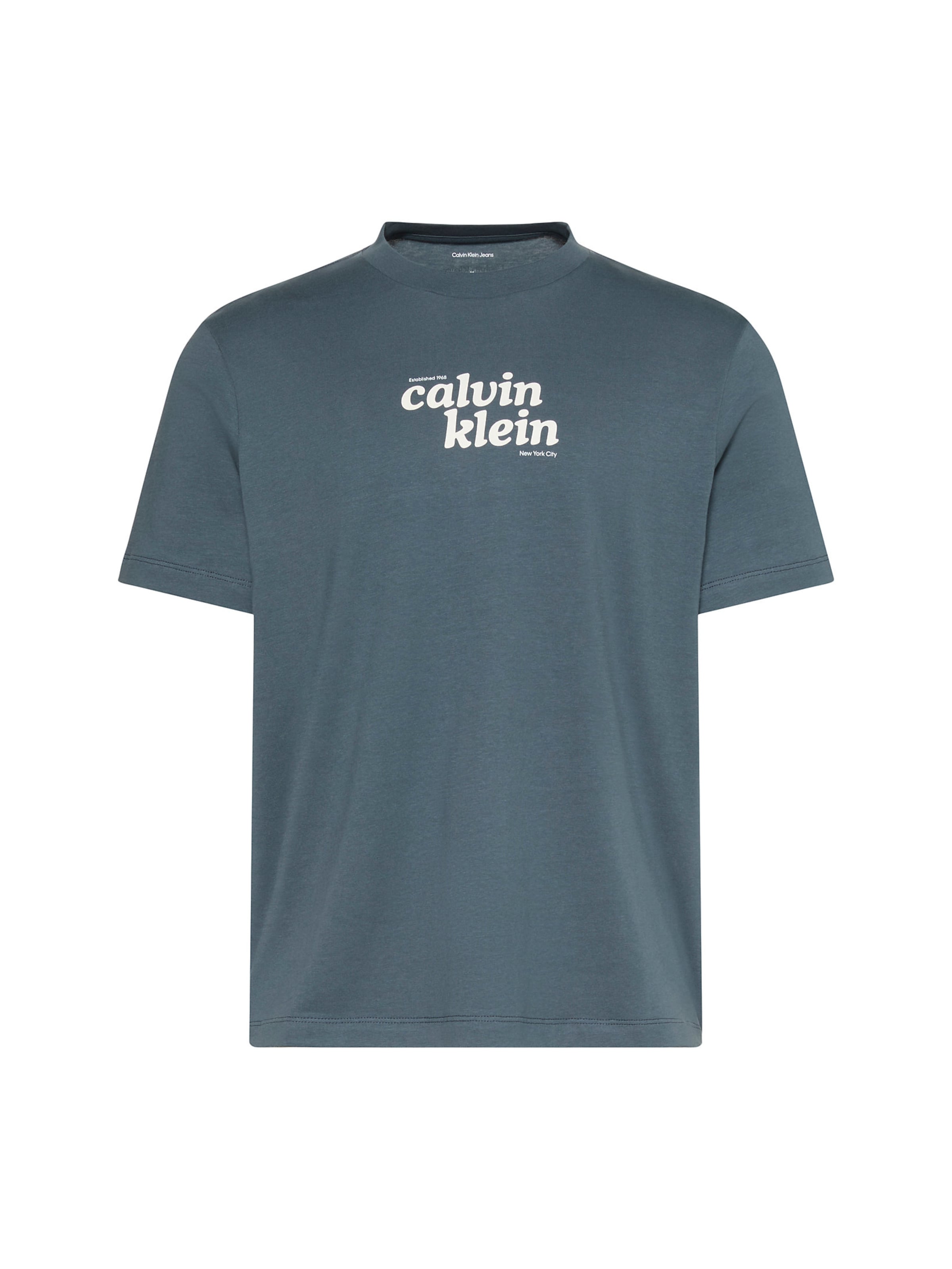 Calvin Klein Jeans T-Shirt in Grau: Vorderseite