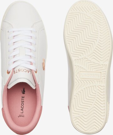 Baskets basses LACOSTE en blanc