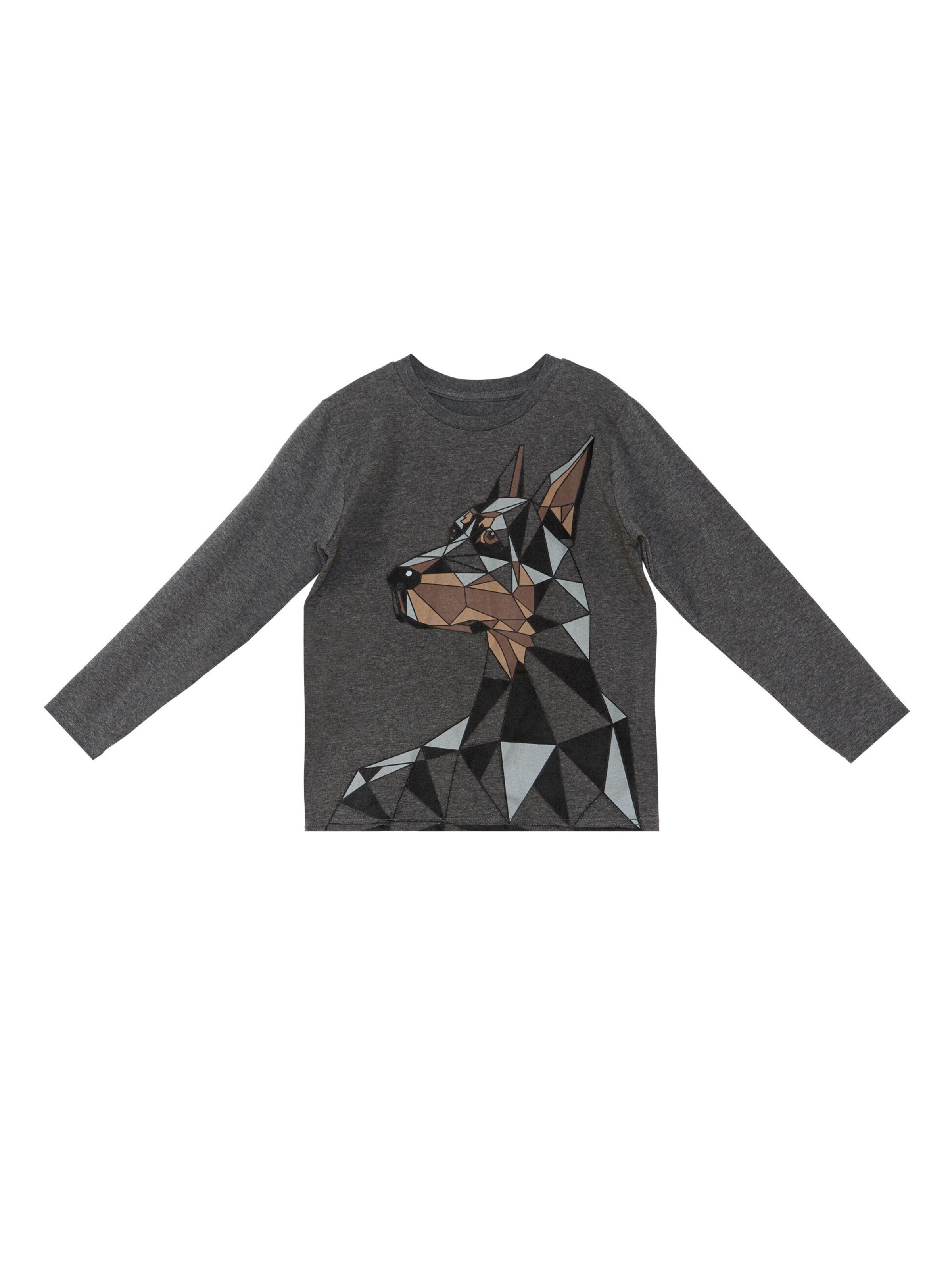 Survêtement 'Doberman' Denokids en gris