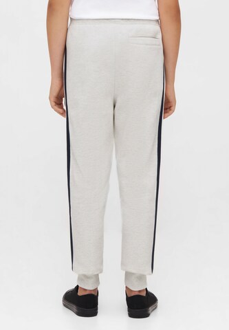 BENCH Tapered Pants in Grey