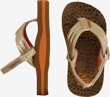 REEF Sandals 'Little Ahi' in Gold: front