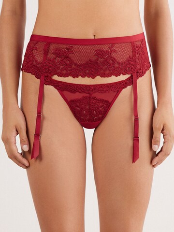 INTIMISSIMI Garter Belt in Red: front