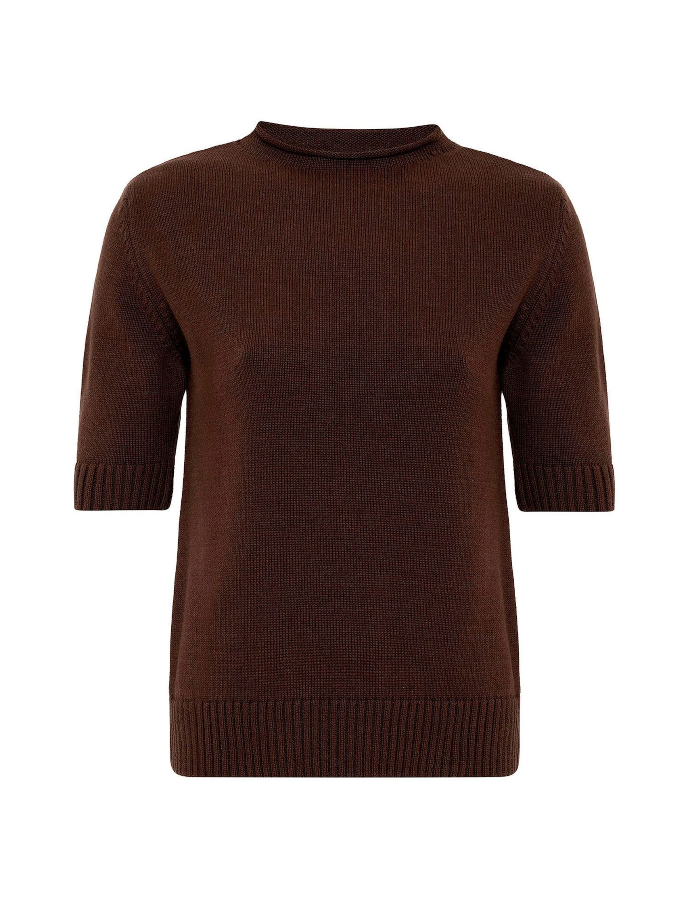 Williot Sweater in Brown: front