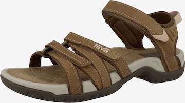TEVA Sandals 'Tirra' in Brown: front