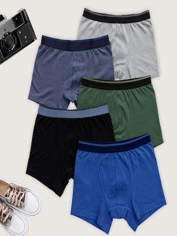 LOREZA Underpants 'Jungen Boxershorts Arne' in Blue