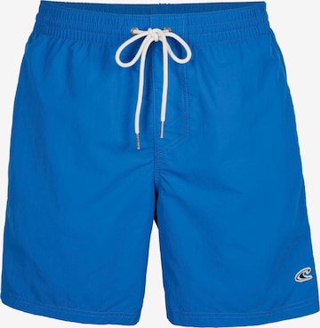 O'NEILL Sports swimming trunks in Blue: front