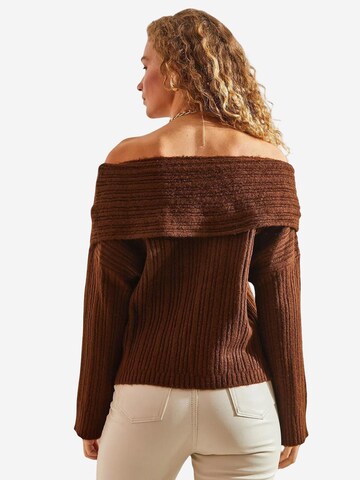 Bianco Lucci Pulover 'Pullover' | rjava barva