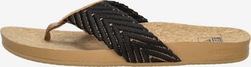 REEF Zehentrenner 'Cushion Court' in Schwarz: Vorderseite