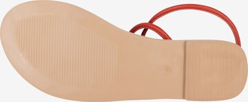 faina Sandalen met riem in Rood