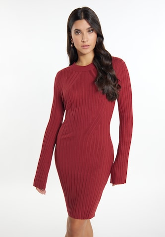 faina Knitted dress in Red: front