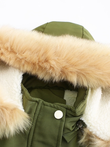 Youthup Winter Parka in Green