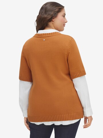 SHEEGO Pullover in Braun