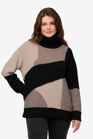 Ulla Popken Sweater in Brown: front