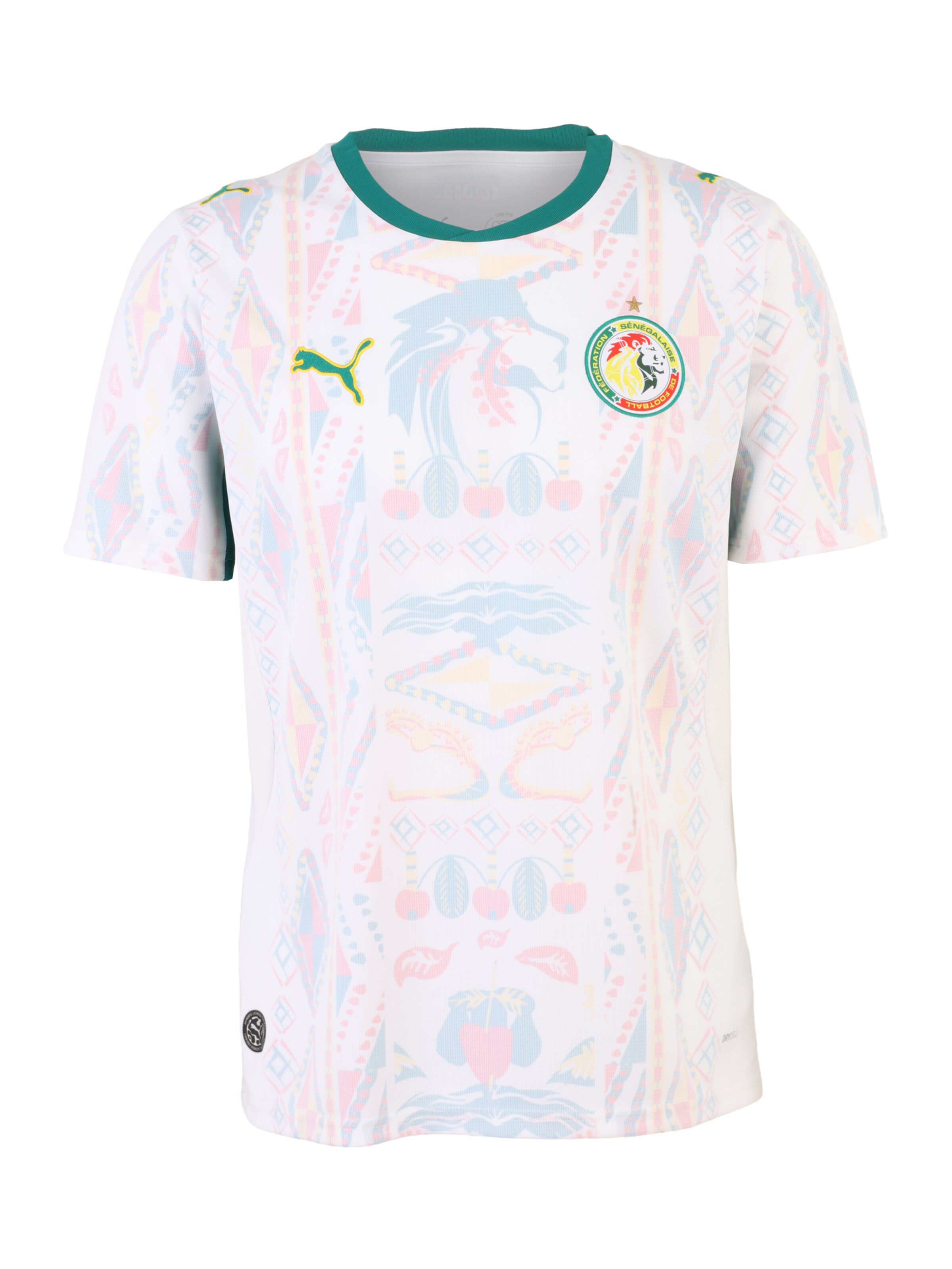 PUMA Funkční tričko 'FSF' - nebeská modř / trávově zelená / růžová / bílá, Produkt