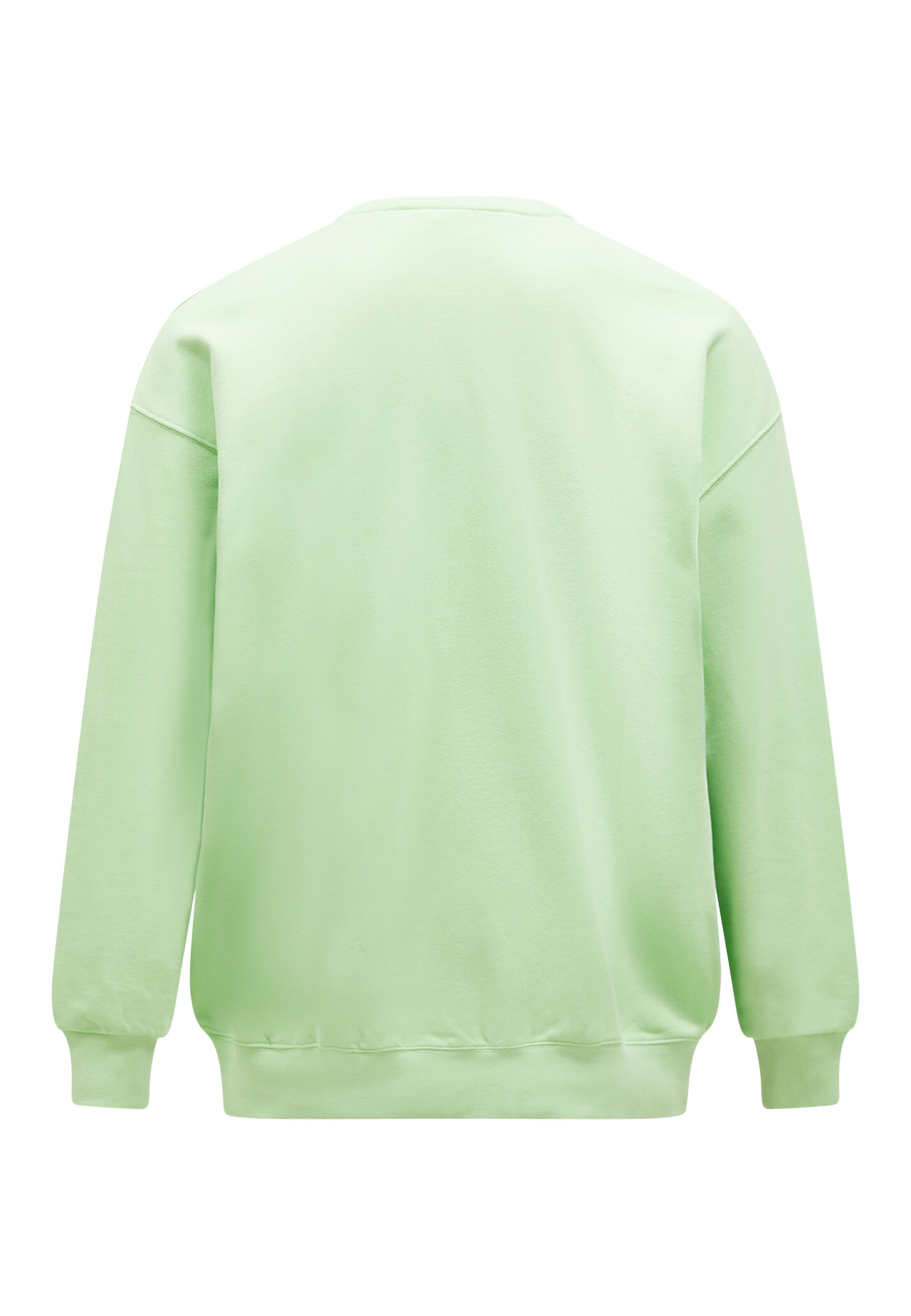 PEAK PERFORMANCE Sweatshirtpullover in Grün