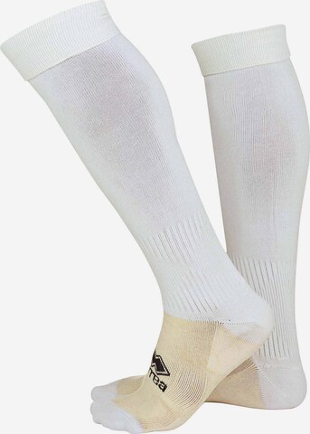 Chaussettes de sport Errea en blanc : devant