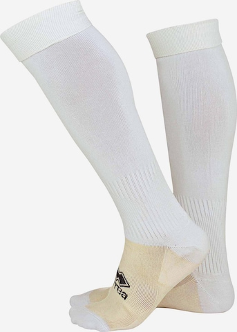 Chaussettes de sport Errea en blanc : devant