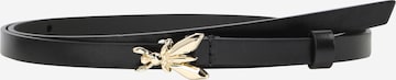 PATRIZIA PEPE Belt in Black: front