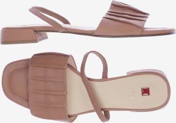 Högl Sandals & High-Heeled Sandals in 39,5 in Beige: front