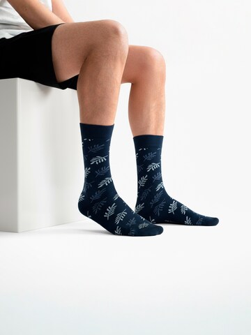 The Arctic Bay - Calcetines 'SHINRIN EDITION Gift box 4 Pack Unisex' en Mezcla de colores