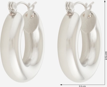 Karolina Kurkova Originals Earrings 'Dion' in Silver