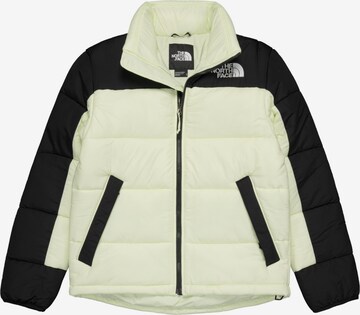 THE NORTH FACE Winter Jacket in Green: front